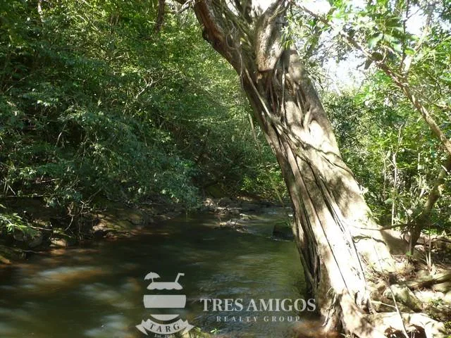 Finca Santa Maria, photo 12