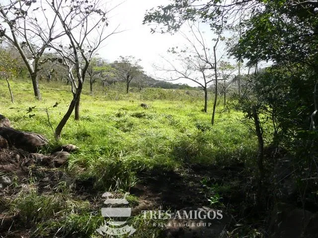 Finca Santa Maria, photo 13