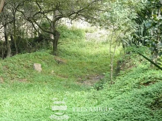 Finca Santa Maria, photo 14