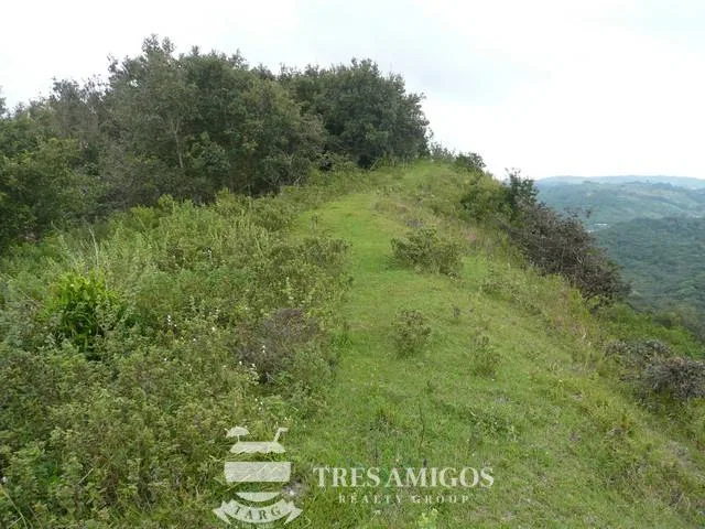 Finca Santa Maria, photo 15