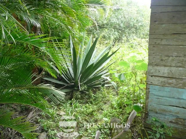 Finca Santa Maria, photo 16
