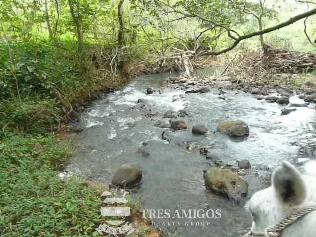 Finca Santa Maria, photo 20
