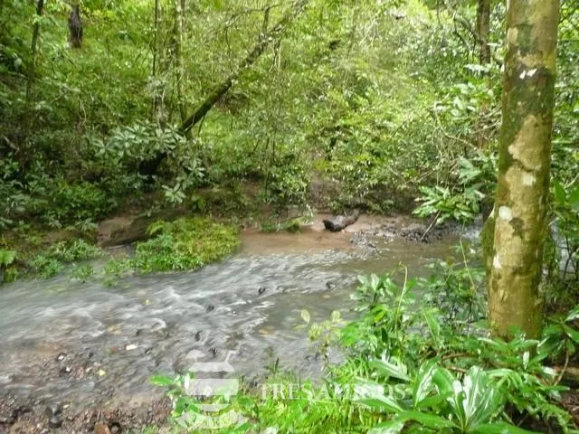Finca Santa Maria, photo 4