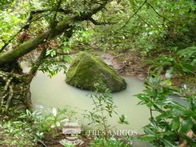 Finca Santa Maria, photo 5