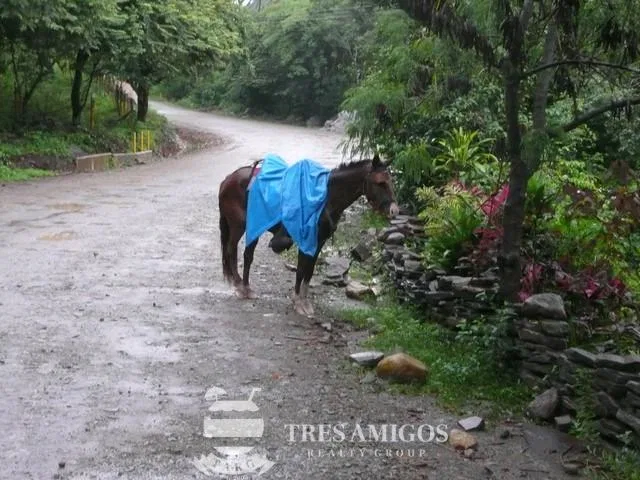 Finca Santa Maria, photo 7