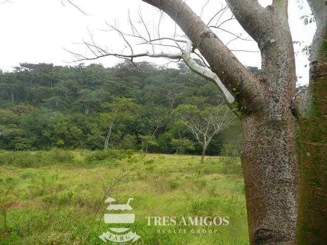 Finca Santa Maria, photo 8