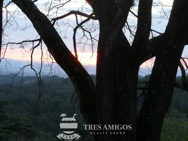 Finca Santa Maria, photo 9