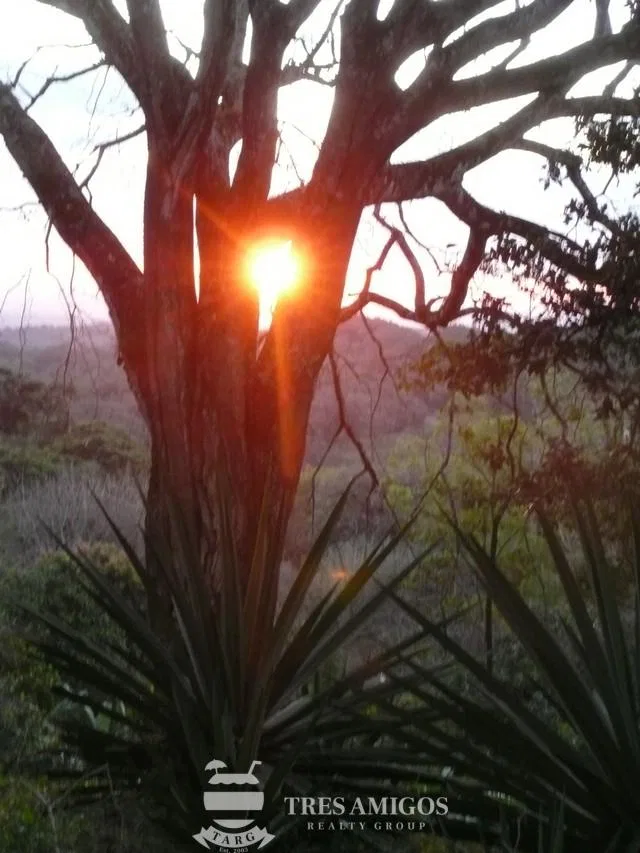 Finca Santa Maria, photo 10