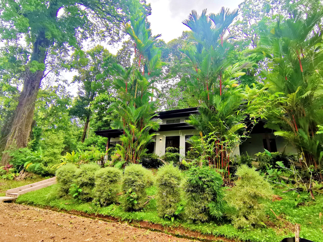 Majestic View at Terrazas San Martin