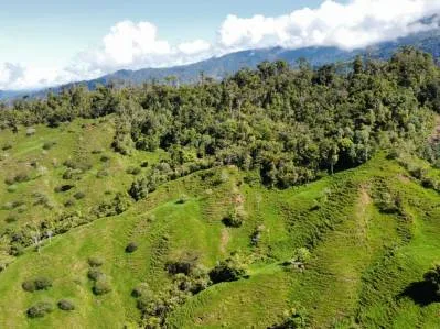 Finca con Alto potencial para desarrollo inmobiliario. Vistas al mar, ríos, montañas y ciudad., photo 5