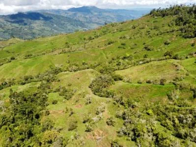 Finca con Alto potencial para desarrollo inmobiliario. Vistas al mar, ríos, montañas y ciudad., photo 9