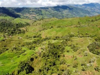 Finca con Alto potencial para desarrollo inmobiliario. Vistas al mar, ríos, montañas y ciudad., photo 10