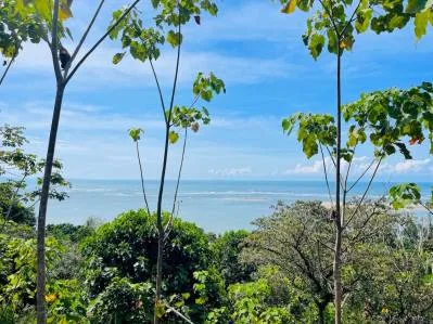 LOTE ÉPICO EN PRIMERA FILA CON VISTA AL MAR Y AL RÍO, photo 5