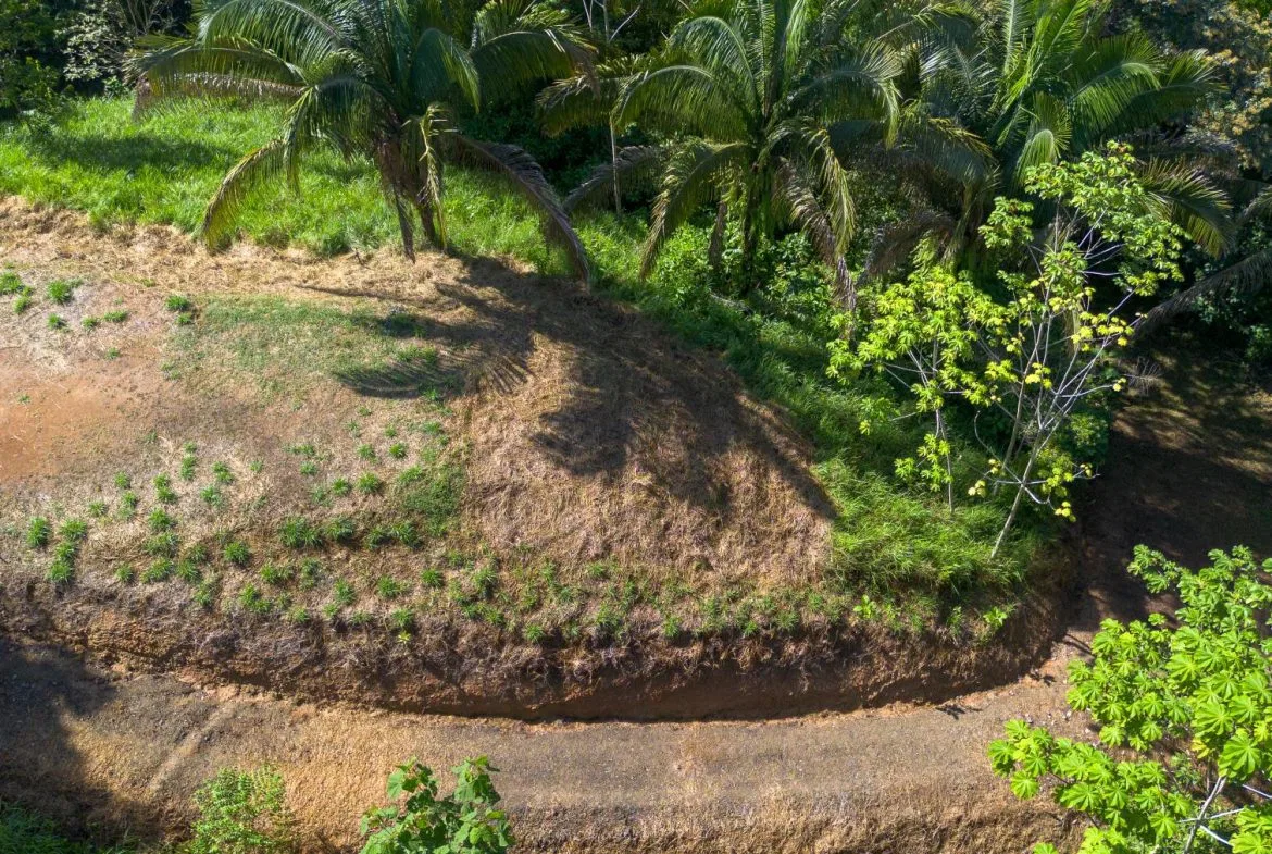 PROPERTYS IN PLAYA HERMOSA NEAR A STREAM – 1.25 ACRES, photo 12