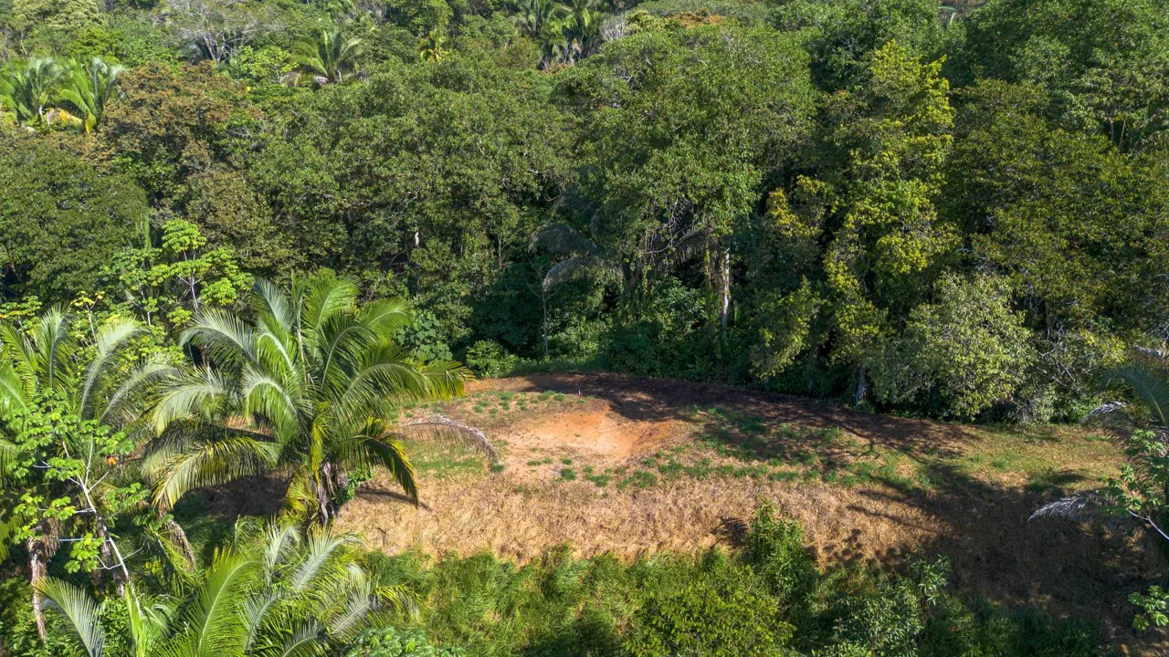 PROPERTYS IN PLAYA HERMOSA NEAR A STREAM – 1.25 ACRES, photo 13