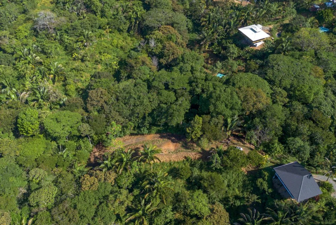 PROPERTYS IN PLAYA HERMOSA NEAR A STREAM – 1.25 ACRES, photo 18