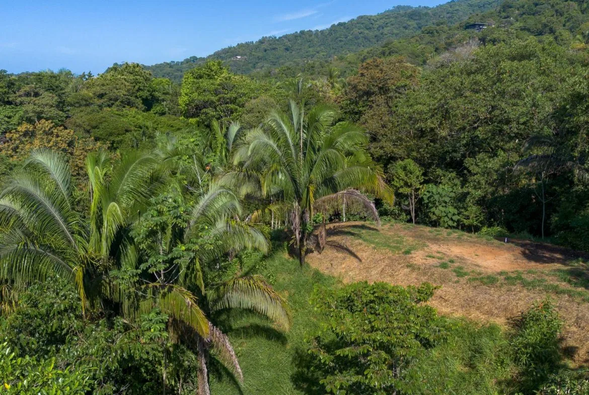 PROPERTYS IN PLAYA HERMOSA NEAR A STREAM – 1.25 ACRES, photo 22