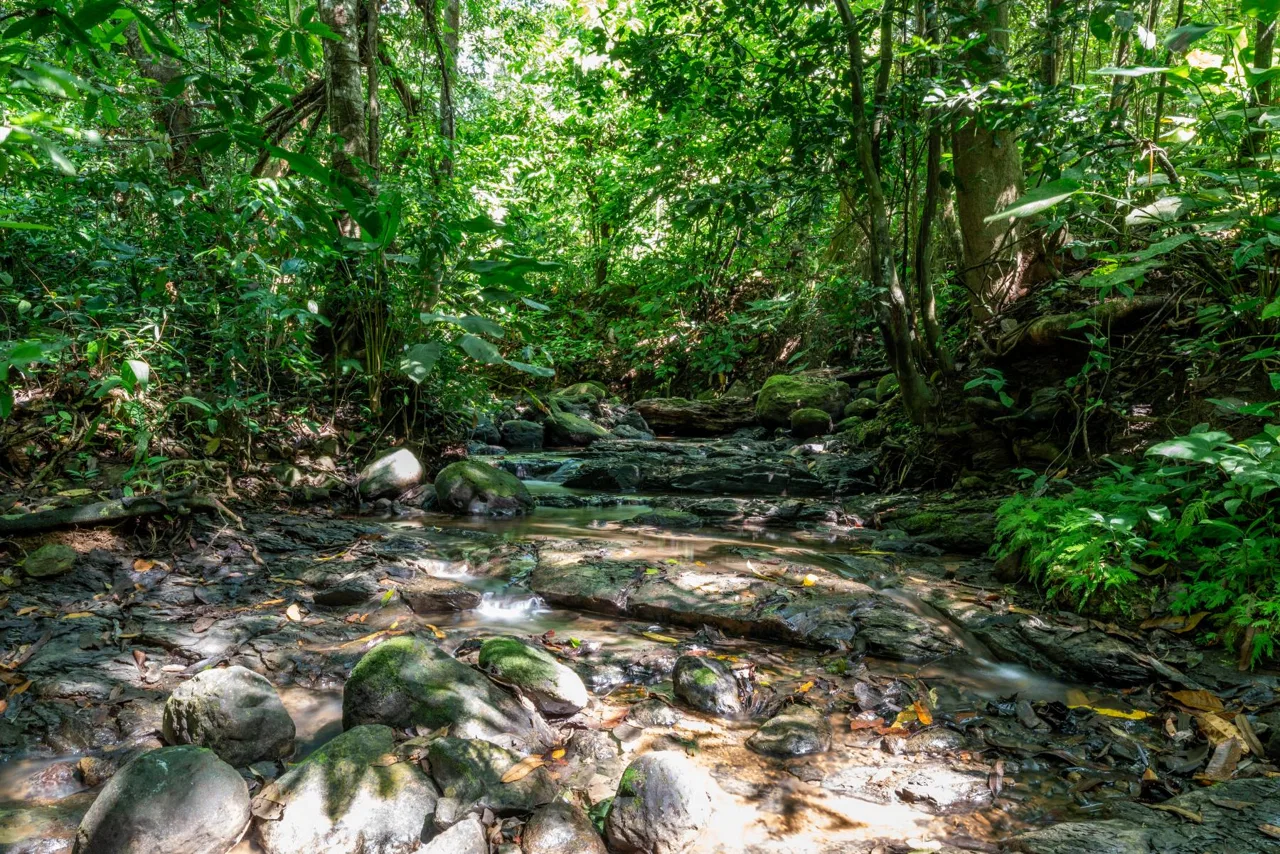 PROPERTYS IN PLAYA HERMOSA NEAR A STREAM – 1.25 ACRES, photo 23