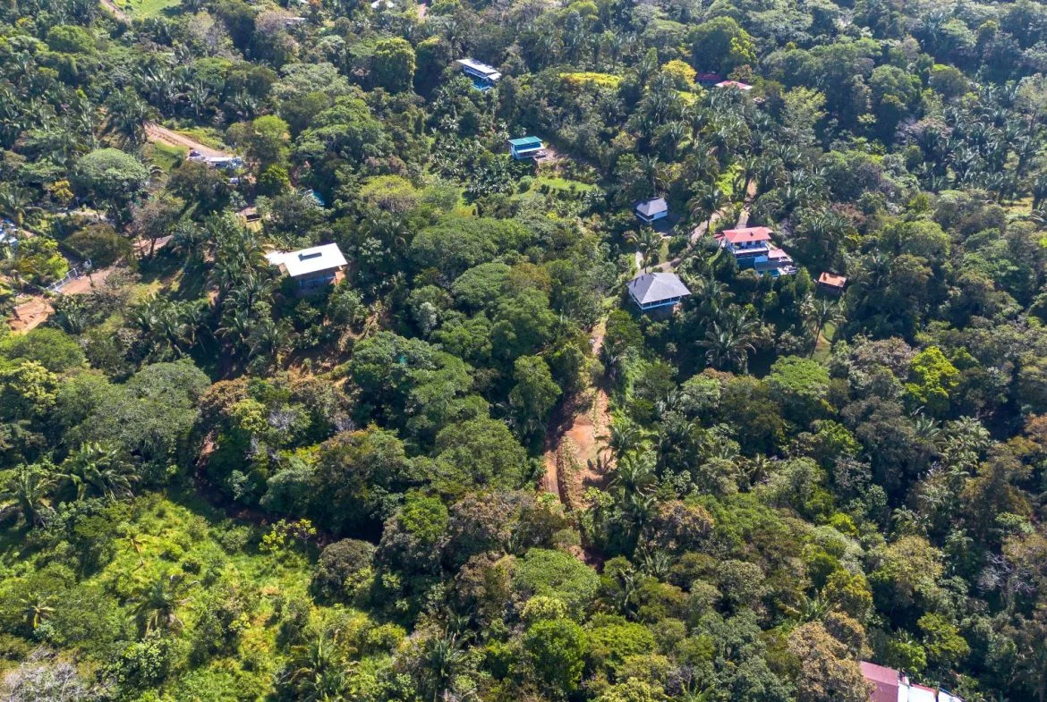 PROPERTYS IN PLAYA HERMOSA NEAR A STREAM – 1.25 ACRES, photo 4