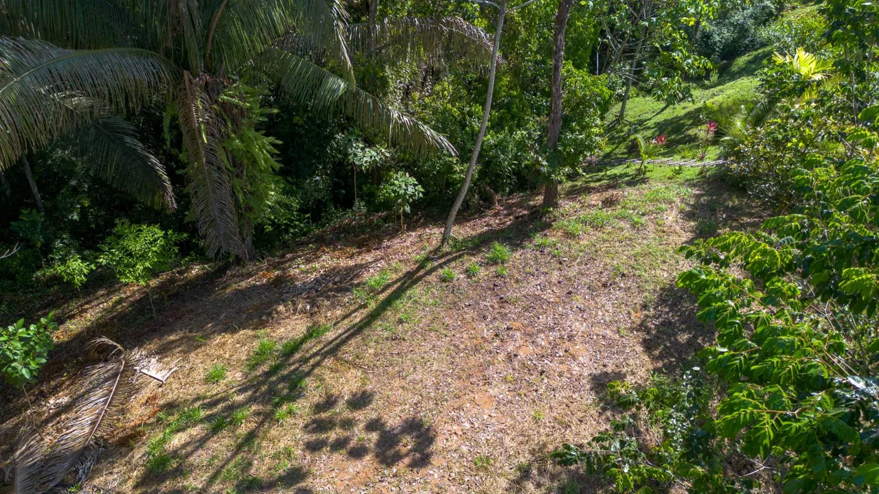 PROPERTYS IN PLAYA HERMOSA NEAR A STREAM – 1.25 ACRES, photo 5