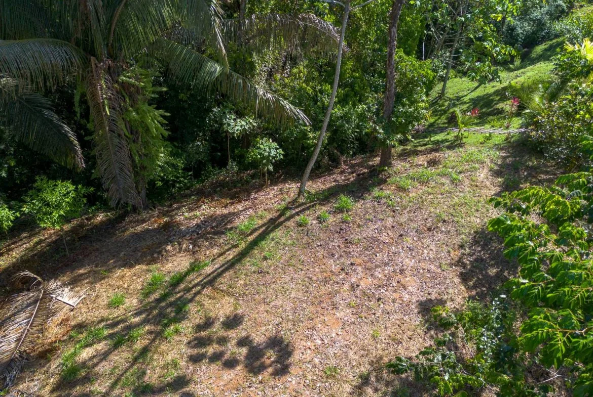 PROPERTYS IN PLAYA HERMOSA NEAR A STREAM – 1.25 ACRES, photo 6