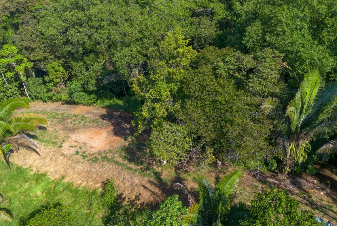 PROPERTYS IN PLAYA HERMOSA NEAR A STREAM – 1.25 ACRES, photo 10