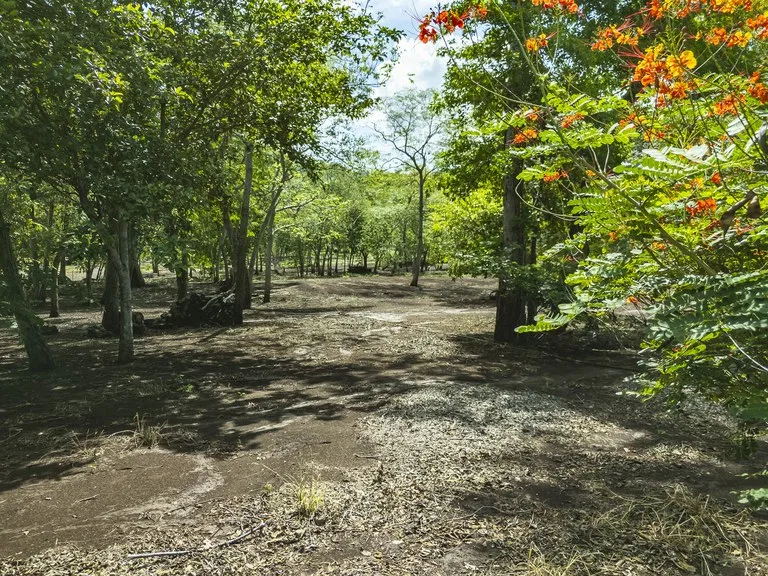 Home Construction Site in Playa Brasilito, photo 6