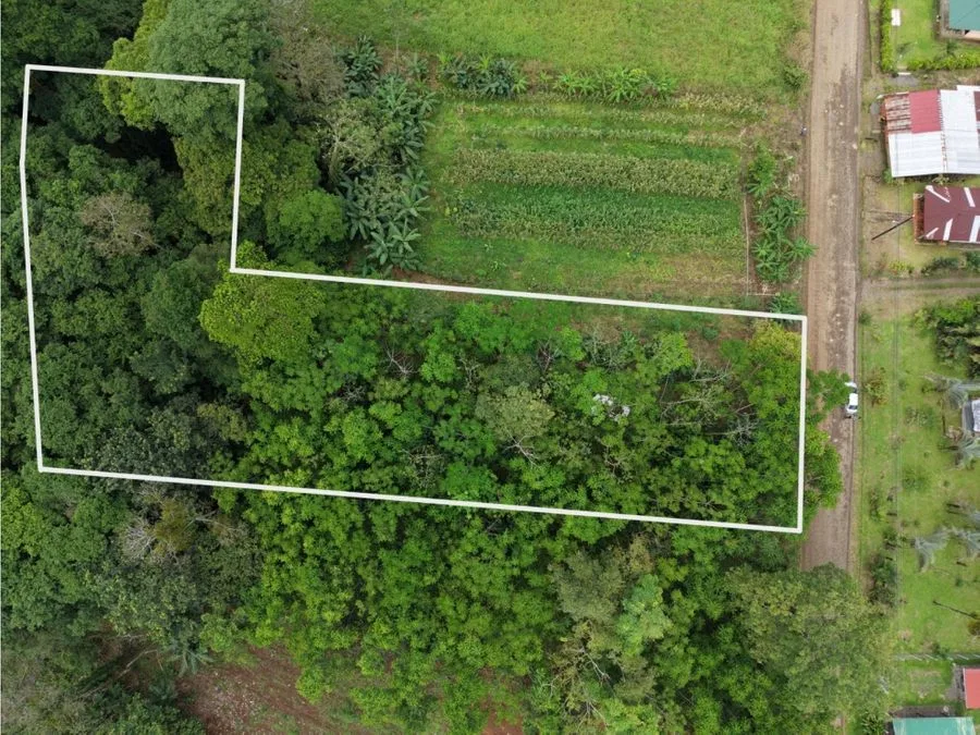 🌿 Terreno en venta El Futuro, La Tigra | 2.773 m² | ₡49.000.000