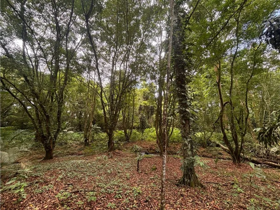 🌿 Terreno en venta El Futuro, La Tigra | 2.773 m² | ₡49.000.000, photo 2