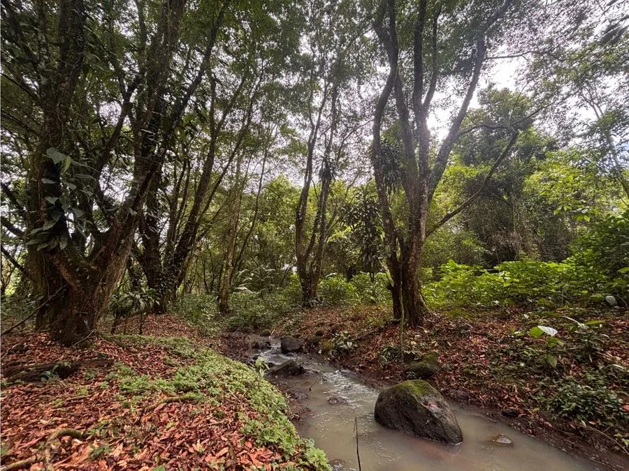 🌿 Terreno en venta El Futuro, La Tigra | 2.773 m² | ₡49.000.000, photo 3