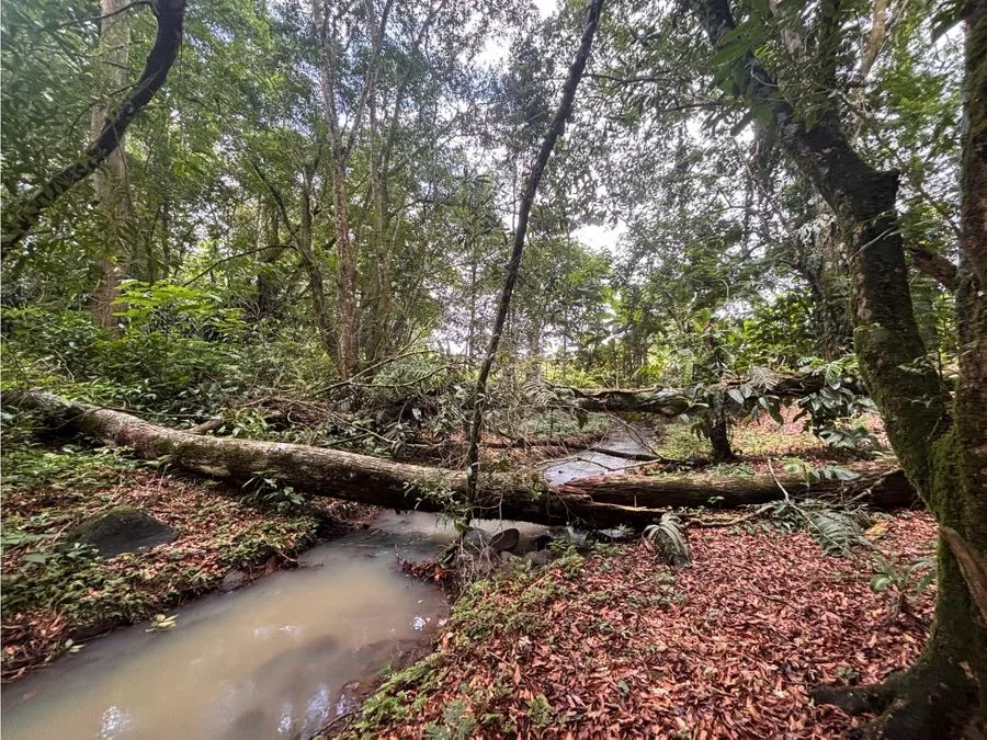 🌿 Terreno en venta El Futuro, La Tigra | 2.773 m² | ₡49.000.000, photo 4