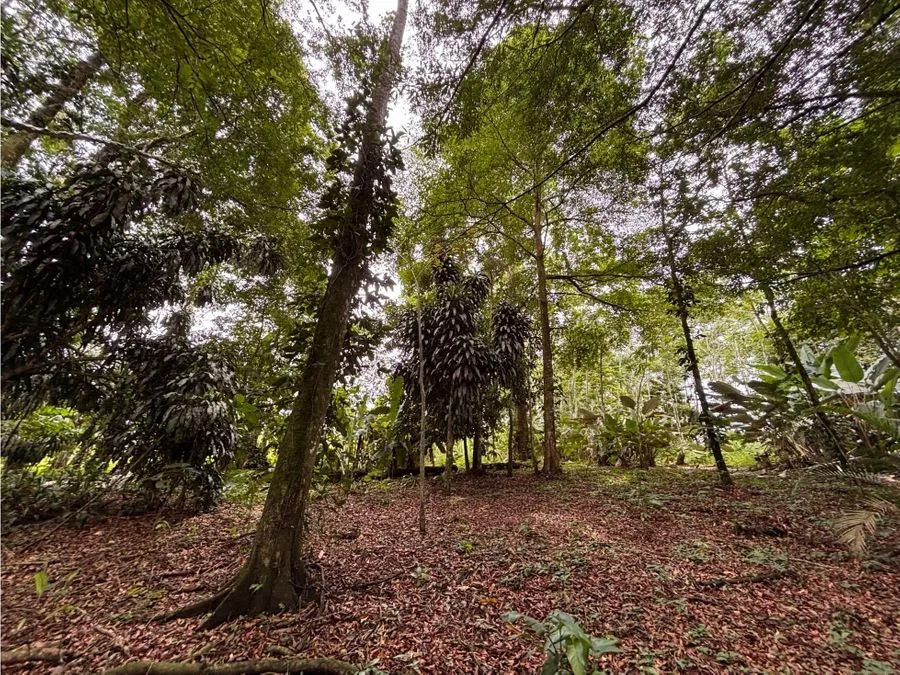 🌿 Terreno en venta El Futuro, La Tigra | 2.773 m² | ₡49.000.000, photo 10