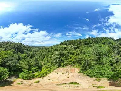 Tierra del Ceibo, Lote #8, Santuario Privado -3.7 acres, photo 2