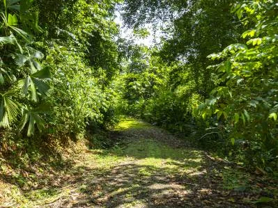 Tierra del Ceibo, Lote #8, Santuario Privado -3.7 acres, photo 4