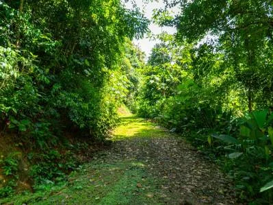 Tierra del Ceibo, Lote #8, Santuario Privado -3.7 acres, photo 5