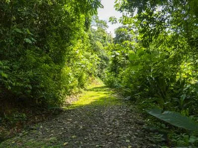 Tierra del Ceibo, Lote #8, Santuario Privado -3.7 acres, photo 6