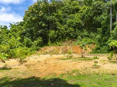 Tierra del Ceibo, Lote #8, Santuario Privado -3.7 acres, photo 9