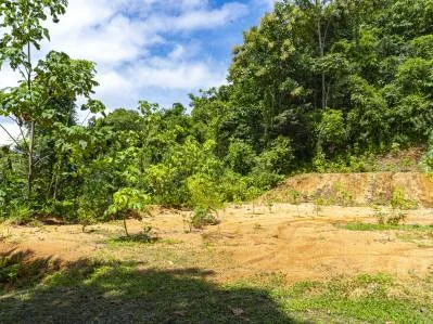 Tierra del Ceibo, Lote #8, Santuario Privado -3.7 acres, photo 10