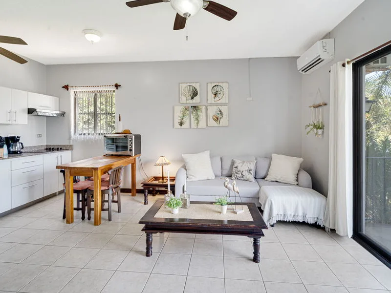 1 Bed Condo For Sale in Tamarindo, photo 6
