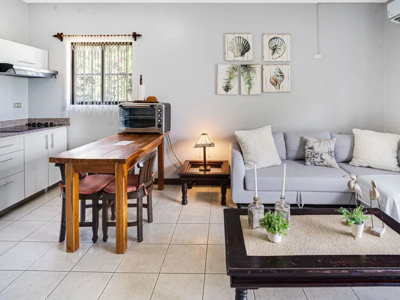 1 Bed Condo For Sale in Tamarindo, photo 7