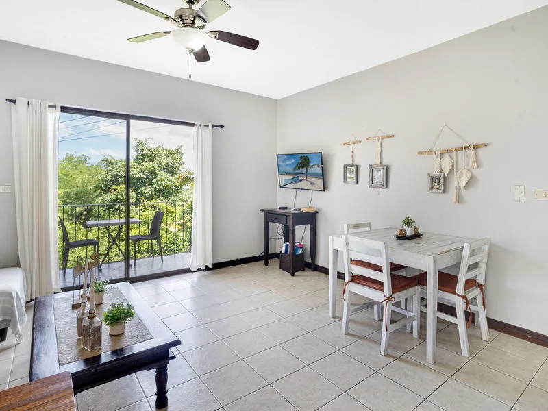 1 Bed Condo For Sale in Tamarindo, photo 8
