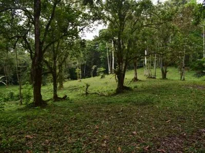 LAS BROMELIAS, photo 6