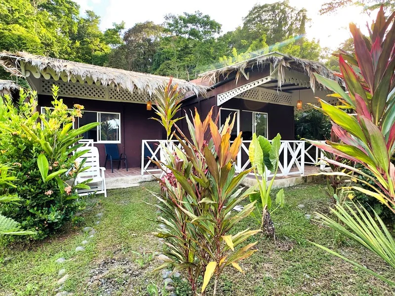 5 Bed Hotel / Leisure For Sale in Cahuita, photo 3