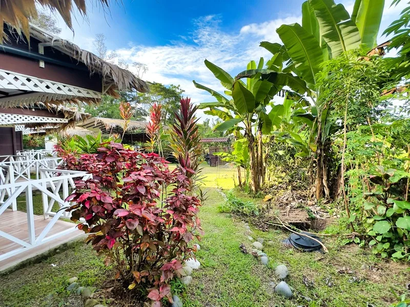 5 Bed Hotel / Leisure For Sale in Cahuita, photo 5