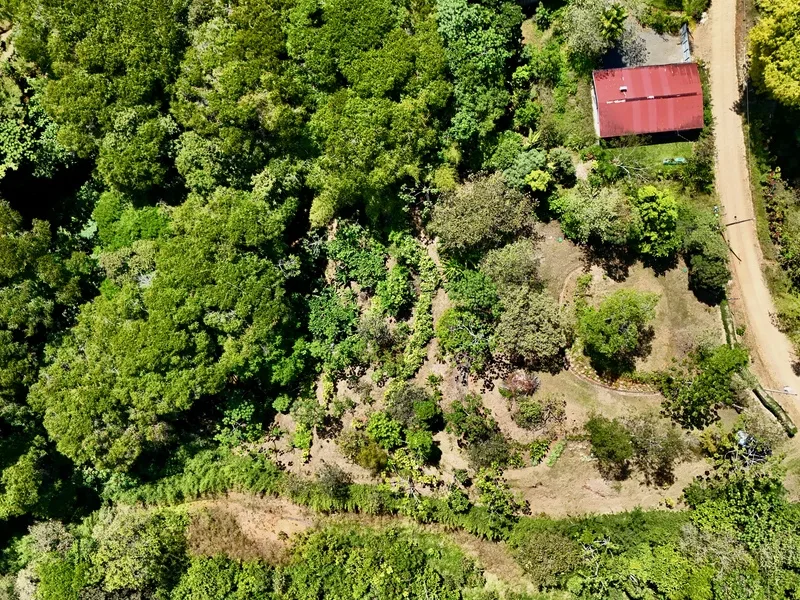 Land For Sale in Dominical, photo 2