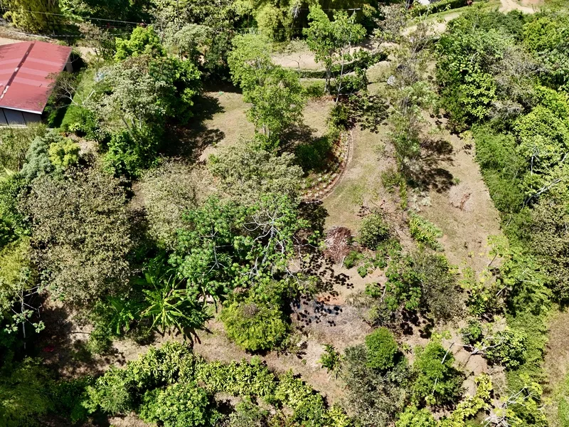 Land For Sale in Dominical, photo 11