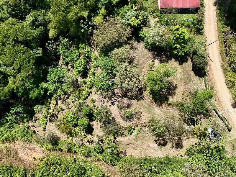 Land For Sale in Dominical, photo 12