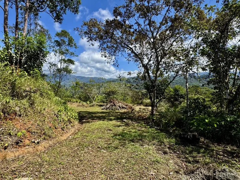 Land For Sale in Dominical, photo 3