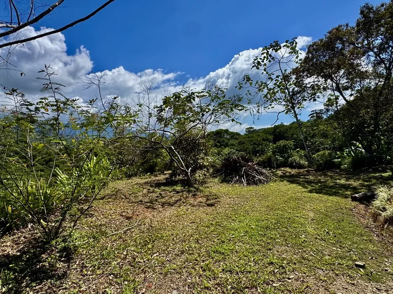 Land For Sale in Dominical, photo 4