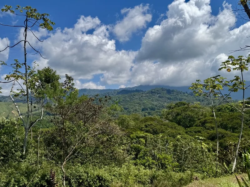Land For Sale in Dominical, photo 5
